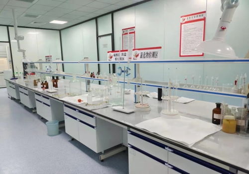 河北邢臺 “小巨人”成香餑餑，領跑產業技術開發加速度