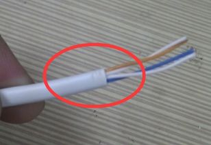 電話線剪斷后能否再連接？解析與操作指南